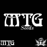 MTG Seeds Afghan Sour-Kush